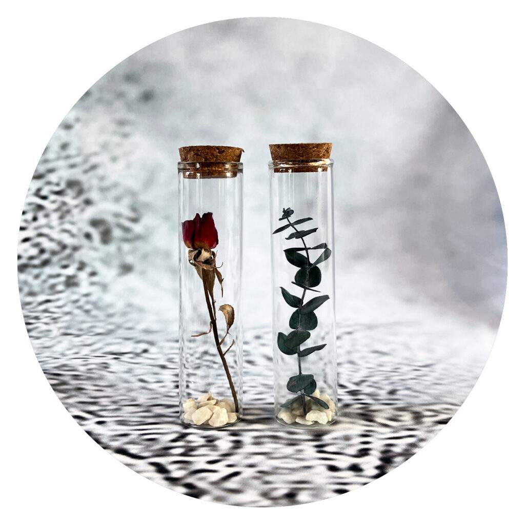 Stolpjes met roos en eucalyptus