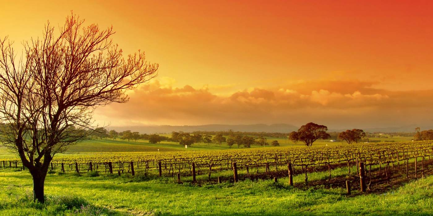 Helen nadat je gekwetst bent