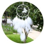 Dromenvanger Vlinder