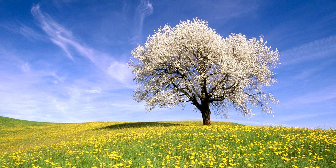 Blog - Kant en klare oplossing bij stress