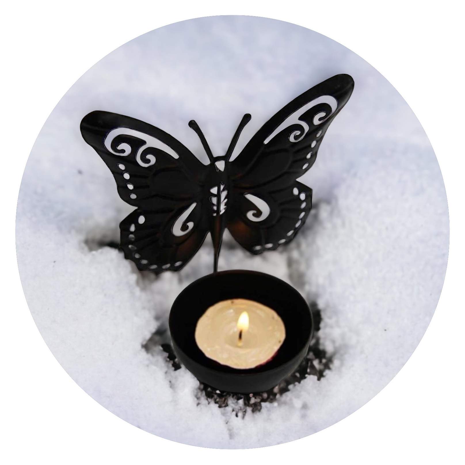 Lichtje Vlinder Lichtje Vlinder