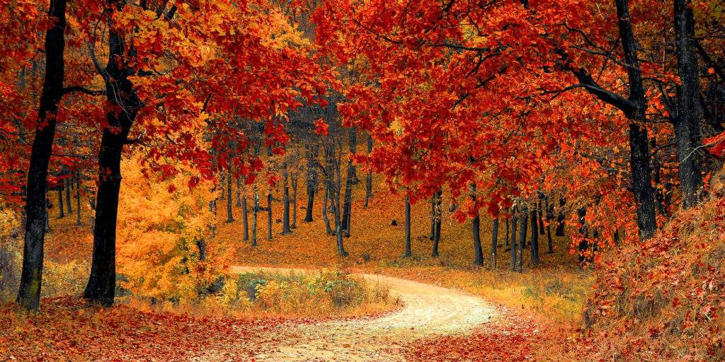 Blog-steun verandert alles