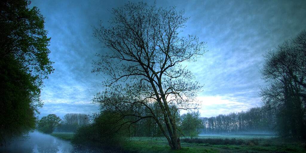 Blog: Troost brengen in december