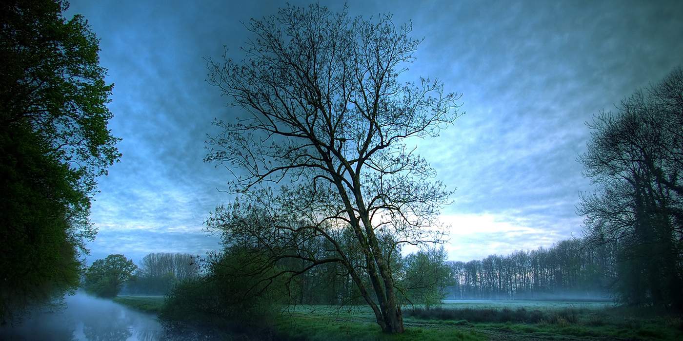 Blog: Troost brengen in december