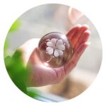 Klavertje vier in bol