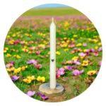 Dinerkaars met hartje