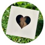 Knuffel in doosje - wit