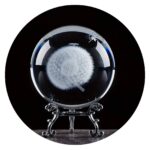 Paardenbloem met pluis in bol