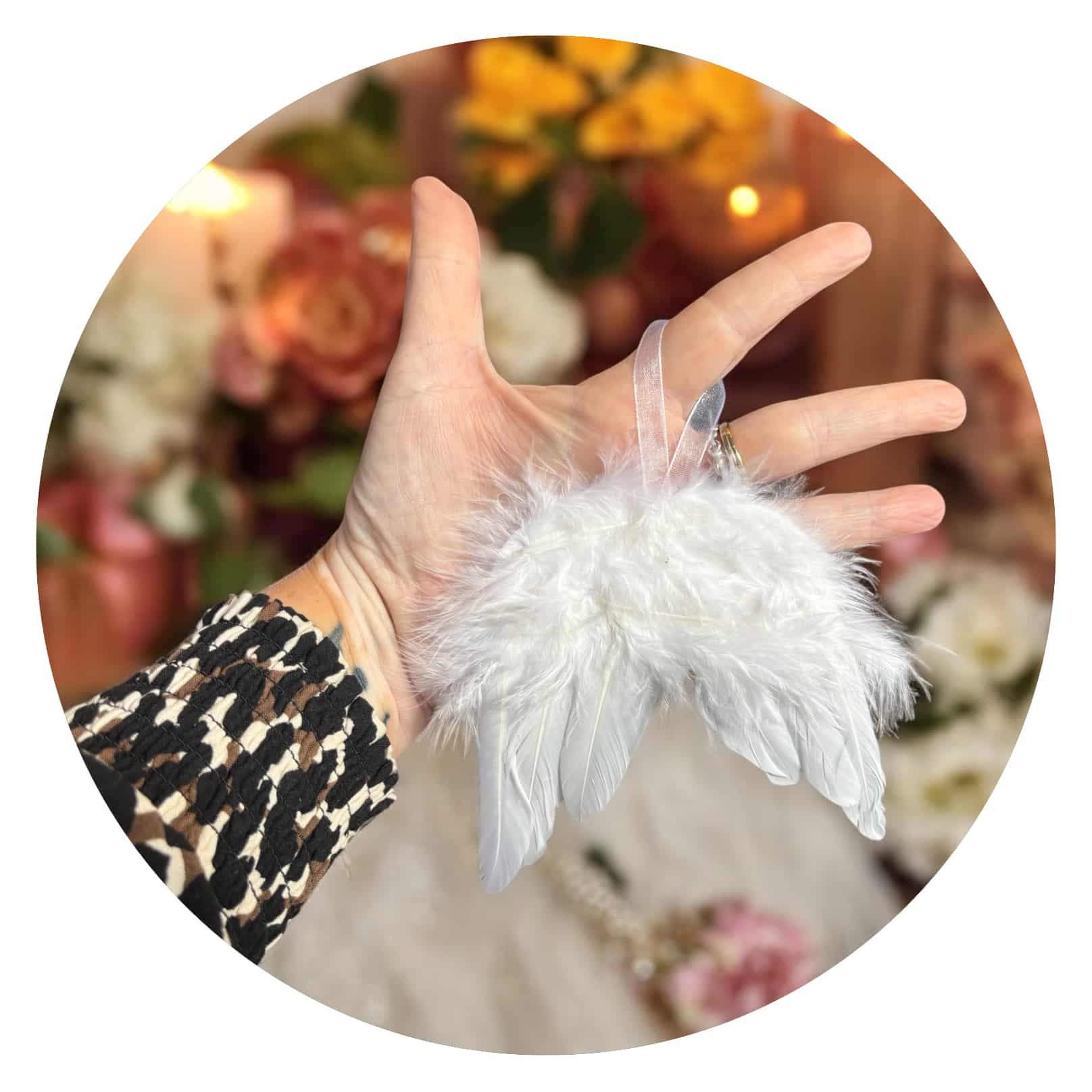 Decoratieve hanger veertjes Decoratieve hanger veertjes