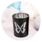 Lichtje Zwart zilveren vlinder