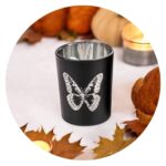 Lichtje Zwart zilveren vlinder