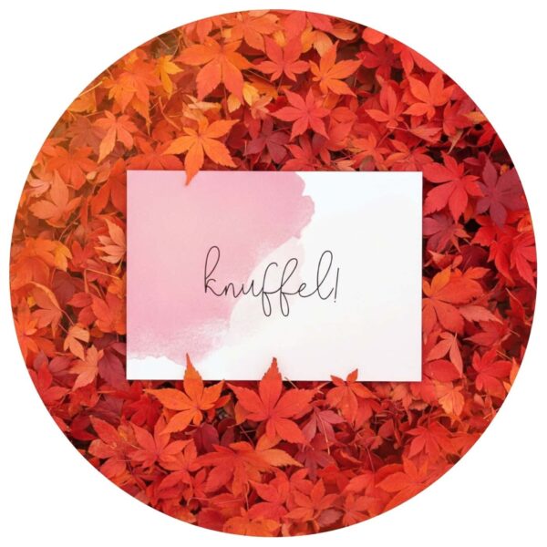 Knuffelkaart op een achtergrond van boomblaadjes