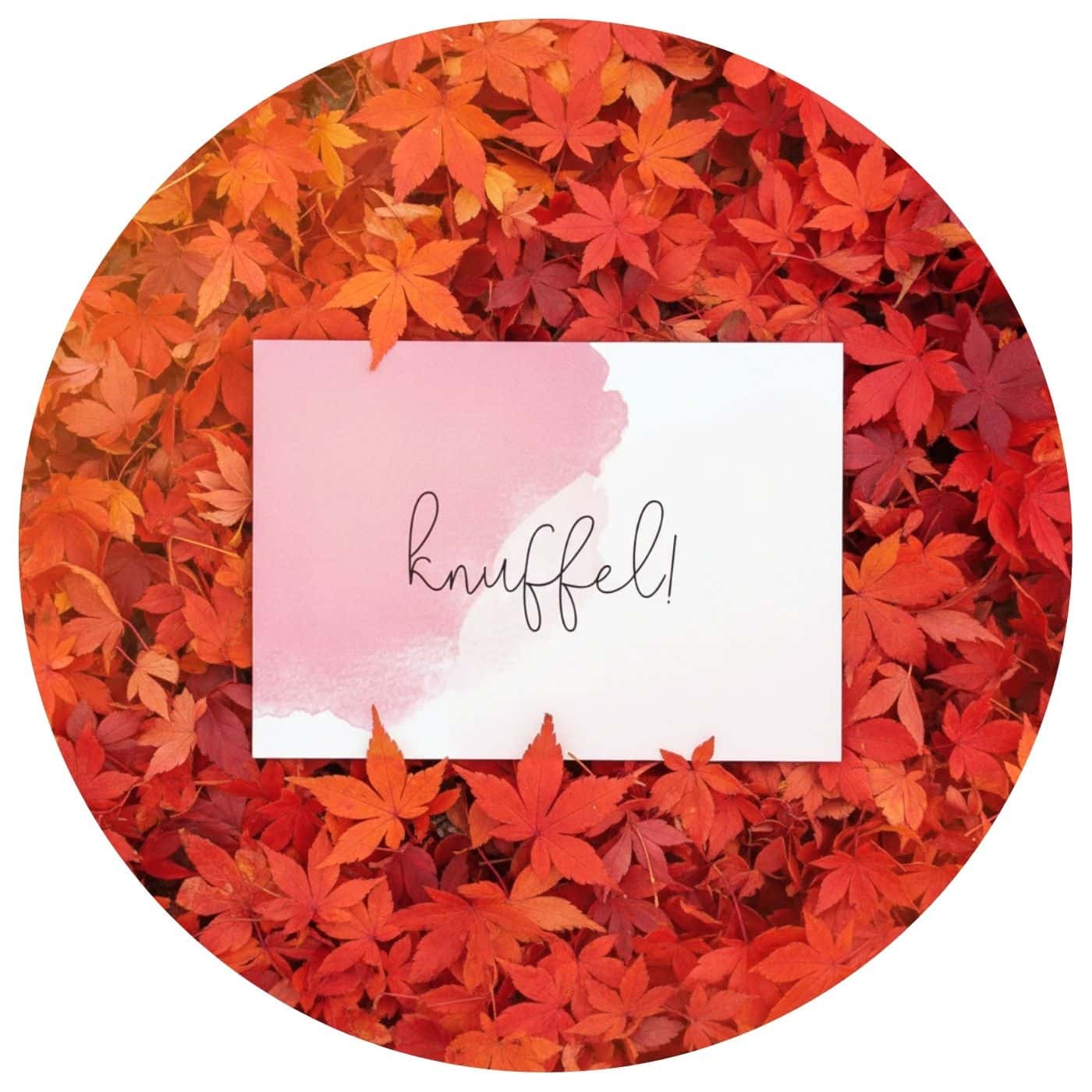 Kaart-knuffel-boomblaadjes Knuffelkaart op een achtergrond van boomblaadjes