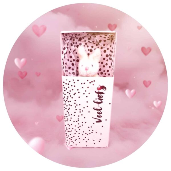 Konijn knuffel in een doosje met de tekst 'Veel Liefs' tegen een roze achtergrond met hartjes