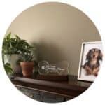 Gedenkteken voor de liefste hond - Afbeelding 3