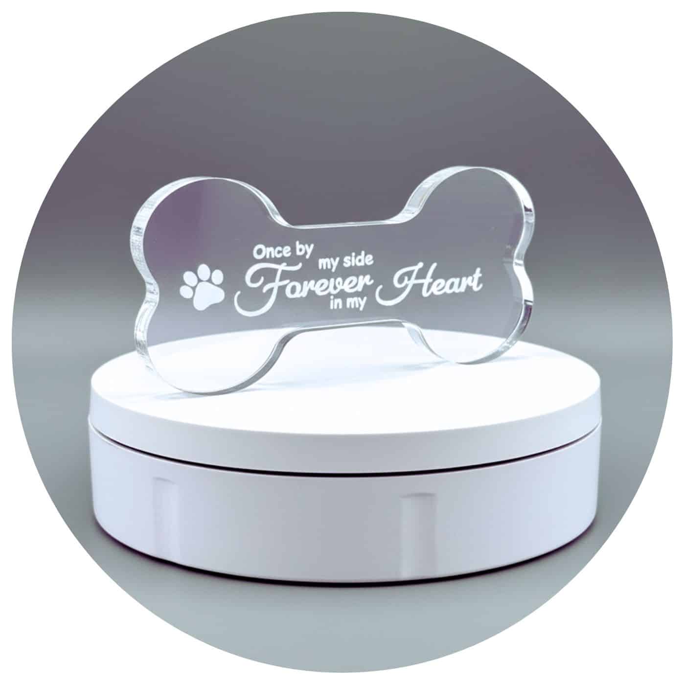 Plexiglas-hondenbot gedenkteken voor de liefste hond