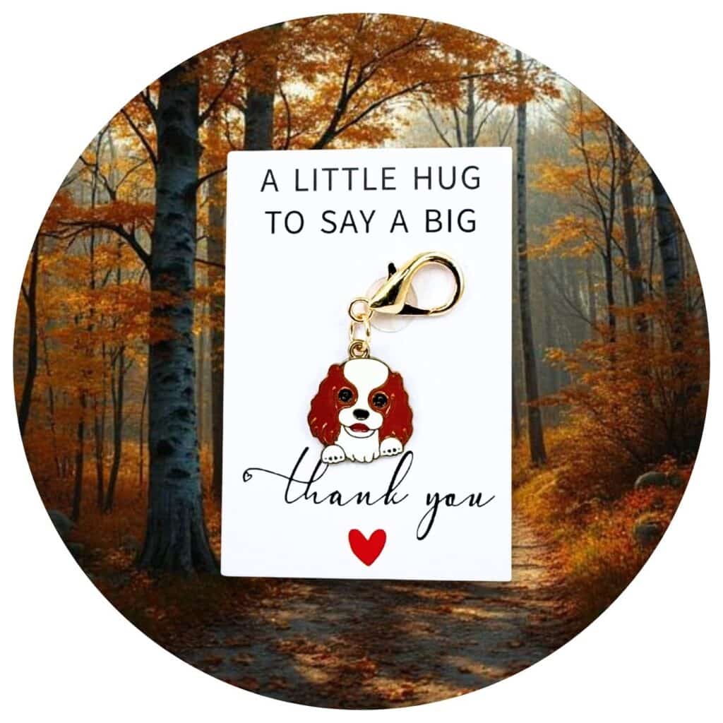 Pocket Hug hondje Cavalier King Charles