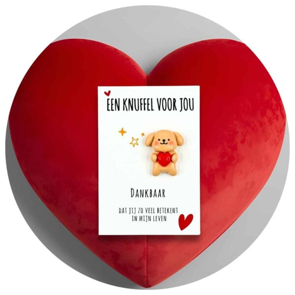 Pocket Hug knuffelhondje Nederlandse tekst