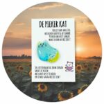 Pocket Hug de piekerkat Nederlandse tekst
