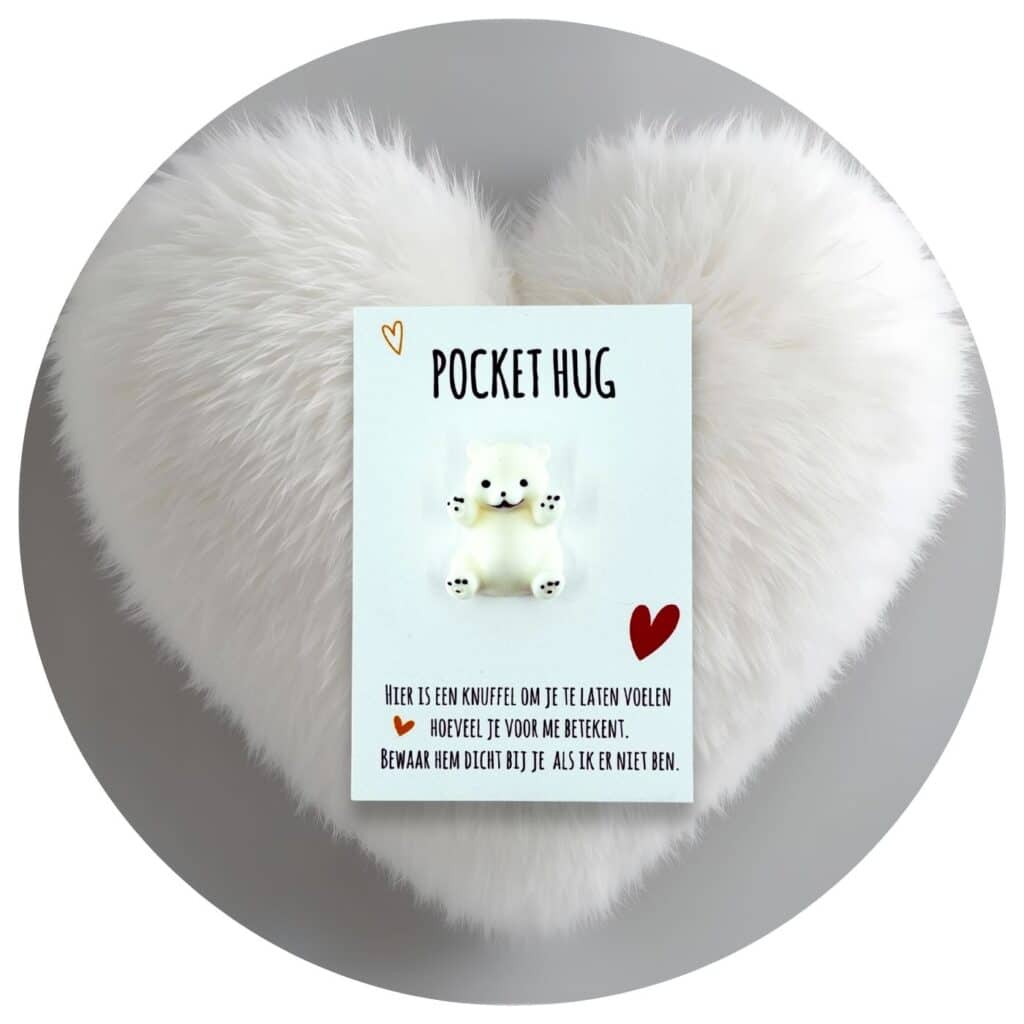 Pocket Hug knuffelbeer Nederlandse tekst
