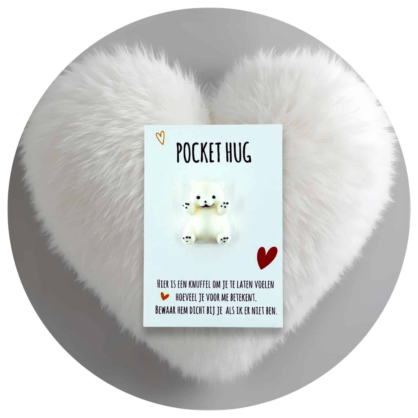 Pocket-Hug-witte-beer Pocket Hug knuffelbeer Nederlandse tekst