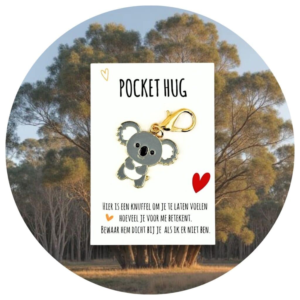 Pocket Hug knuffelkoala Nederlandse tekst