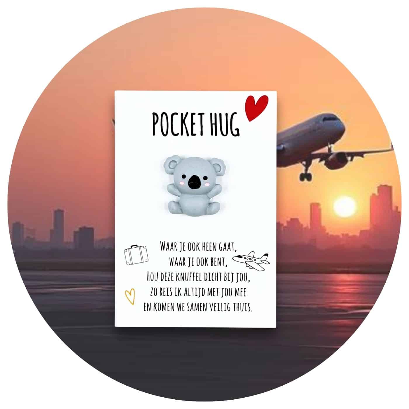 _Pocket-hug-koala-vliegtuig Pocket Hug koala