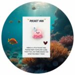 Pocket hug octopus in lagune