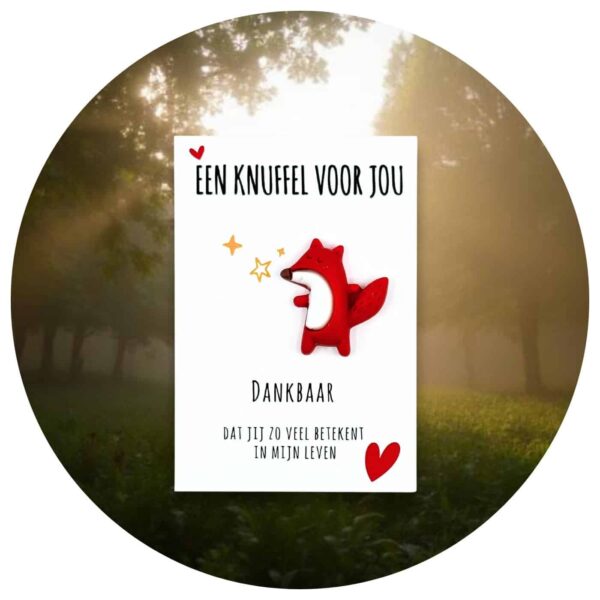 Pocket Hug Vosje dankbaar