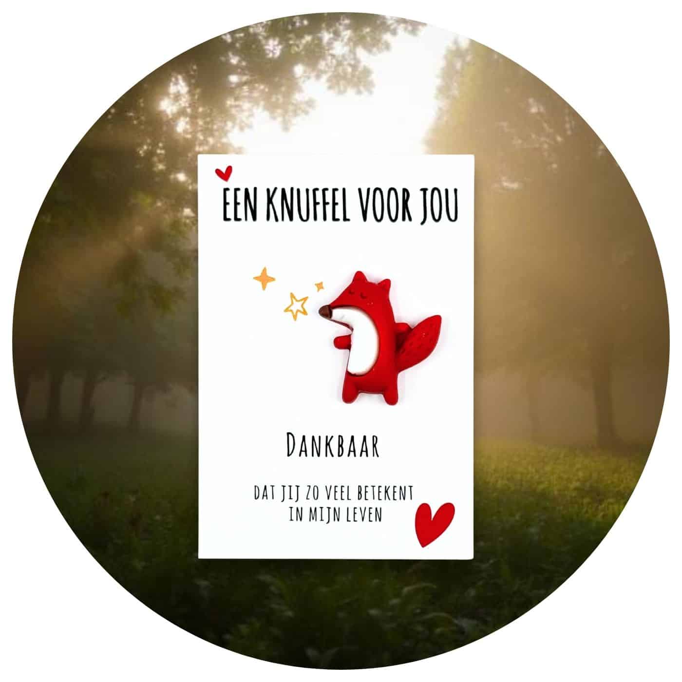 Pocket-hug-vos-nederlands Pocket Hug Vosje dankbaar