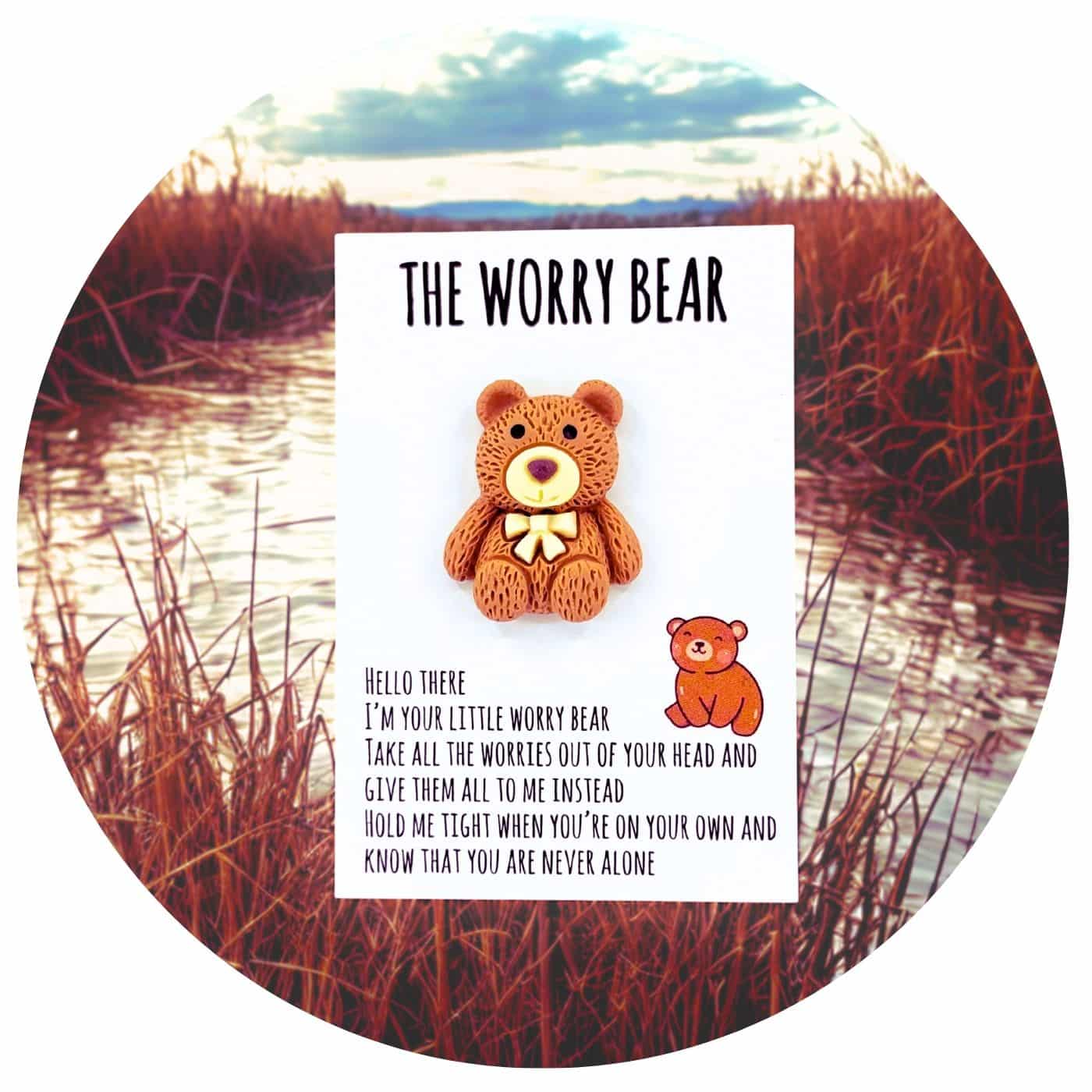 Pocket-hug-worry-bear-bruin-bis Pocket Hug worry bear bruin